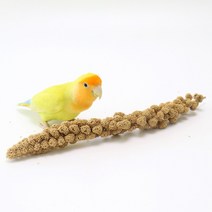 파도반 스프레이 밀렛 250g 앵무새 간식 애완조 모이 새 먹이 PADOVAN 용품, F043_파도반 스프레이 밀렛 250g