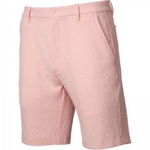 FootJoy 남성용 퍼포먼스 시어서커 10