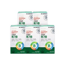 진정주 메가B(60정), 5통(4+1통 행사)
