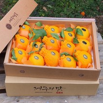 제주명품 한라봉 5kg(12-18수 대과 선물용) 오감만족 상큼하고 과즙미 팡팡 품격있는 연말새해 과일선물세트!