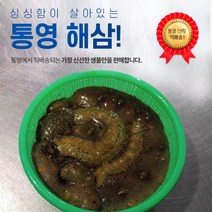 최상급 통영 해삼 봉 300g 생물 봉지해삼 소량판매 마트봉 간편손질, 소 300g(봉)