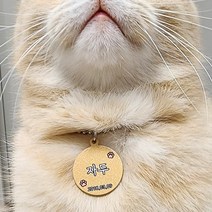 강아지 고양이 인식표 목걸이 하네스 가벼운 펜던트 목걸이, 군번줄, 디자인09, 핑크젤리