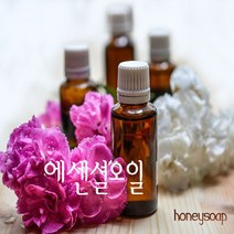 [허니솝] 천연 아로마 에센셜 오일 10ml 30ml 100ml 비누만들기재료 화장품재료, 05. 유칼립튜스e.o 100ml