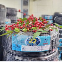 (국산) 편조실드(AMSB) UL2464 AWG22x2C 10M 절단판매 /실드케이블/통신케이블/센스전선
