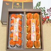 [상주아람곶감]상주 곶감 혼합선물세트 2호(50g*10개 60g*10), 1set