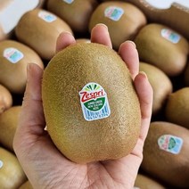 제스프리 자이언트 그린키위 10입(팩) 1.8kg 내외원산지: 상세설명참조