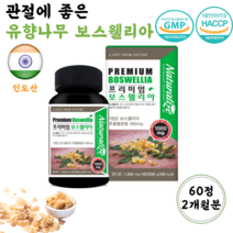 식약처 인정 HACCP 보스웰니아 무릎 허리 골반 발가락 손가락 관절 도움 할머니 할아버지 노인 어르신 70대 80대 운동선수 홈쇼핑 보스웰리아 원물 추출 알약 정제 약 2개월, 1통, 60정 2개월분