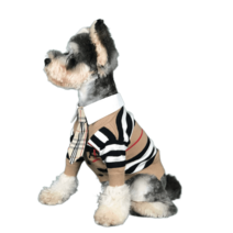 강아지견주커플룩 강아지커플룩 강아지시밀러룩 겨울 시밀러 개플룩 곰보메코키 애견 스트라이프, 스트라이프 카디건