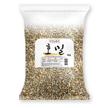 캐나다산 호밀 4kg, 1개