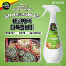 KEYMADO 다육돌보미 어린새싹 자생력 증진 다육이전용 뿌리는 액체비료 식물영양제 행복한꽃그릇
