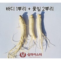 금산 삼마이스터 인삼꽃주 만들기 인삼세트, 1.세척안함