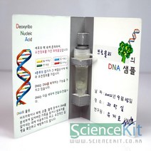 CON/DNA추출 I - 식물세포 4인용