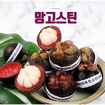 냉동 망고스틴 1kg 냉동과일 열대과일
