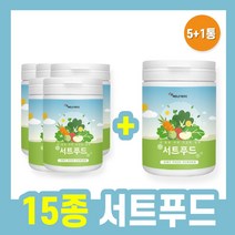 서트푸드 230g 아침밥 대용 쉐이크 분말 밥 저녁 아침 한끼 저녁식사 식사대용식 선식 시루투인 시르투인 서투인 sirtuin 써트푸드 sirtfood 추출분말 케일 녹차 새싹보리, 6개