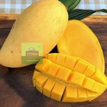 골드망고2.5kg태국망고선물세트