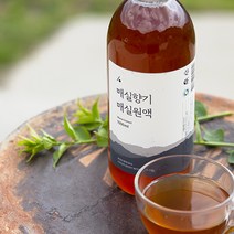 양촌리상회 하동 매실액 1000ml, 1000ml x 2병