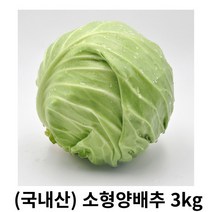 소형 양배추 3kg 6kg 국내산 개당 600~1.2kg 사이 무게 적당한 사이즈 1인가구최적 다이어트 반찬 샐러드 소형야채, 1box