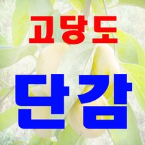 고당도 청도반시 대봉감 단감 5kg 10kg 대용량 특품 잘선별해 드립니다, 1박스, 단감10kg(특대 35과내외)