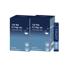 고업 액상 마그네슘160, 600ml, 2개