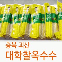 괴산 장연 대학찰옥수수 냉동옥수수 찰옥수수 옥수수, 60개, 특품(17cm내외)