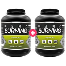 프로틴샵 버닝매스 2통 탄수화물보충제 470265, 3.버닝매스(2통)