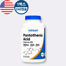 뉴트리코스트 Nutricost Pantothenic 판토텐산 비타민B5 500mg 240캡슐