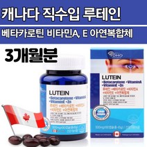 베타카로틴 비타민A E 아연 눈건강 황백색소 메리골드 루테인 스마트몬 인강 노량진 공시생