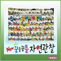 [전집] 뉴꿈틀꿈틀자연관찰/전84권/어린이자연동화/최신판/빠른출고 : 음원 필름 향기까지 입힌 놀라운 자연의 세계가 생생하게 담긴 전집, 톨스토이(전집)