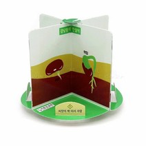 강낭콩의 한살이(회전식)