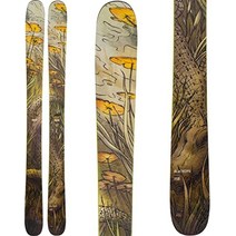 로시뇰 Rossignol Blackops 118 남성 스키 플레이트 186