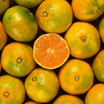 첫 출하 새콤달콤 타이벡 귤 3kg, 로얄과 3kg, 1개