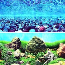 L)양면 백스크린 높이 48cm (10cm단위)-어항배경 그림 시트지/헬로아쿠아