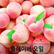 엔피솝 복숭아 플레이버오일-(cosmetic 등급)립밤만들때첨가 DIY 만들기, 복숭아 플레이버오일50ml