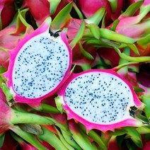 설명절 선물 보자기포장 프리미엄 용과 실속구성 1kg 내외 (2과) 2.5kg 내외 (5과) 5kg 내외 (10과) 이색선물 열대과일 용과, 5과(2.5kg내외)