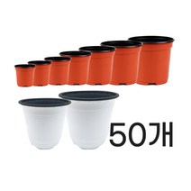 모두다 플라스틱화분 플분 모종화분 이색포트 적색 백색 50개