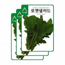 아시아종묘 채소씨앗 - 로켓샐러드(12gx3)(루꼴라 루콜라)가정원예용