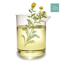 마타바 카렌듈라 diy 인퓨즈 오일 100ml