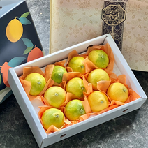 실패없는 제주 황금향 정품 산지직송100%, 1KG 중과 [3-5과내외] 가정용