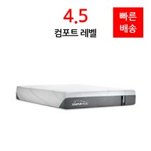 템퍼 페딕 어댑트 미디움 T1