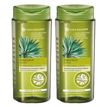 (당일출고) 이브로쉐 모링가리프레시 딥클렌징 샴푸 300ml x2개, 이브로쉐 모링가리프레시 딥클렌