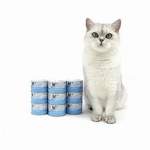 동동이네 고양이 습식사료 구내염 건강관리 기호성 좋은 고양이 주식캔 사조 옵티원 부스트 닭안심 참치 160g X 24개
