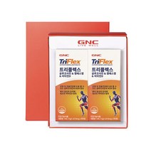 지앤씨 트리플렉스 세트 90정X2개