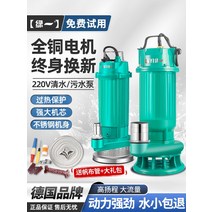 공업용 가정용 배수펌프 농지 오수 지하실 정화조 펌프, A.스트롱370W1인치-5미터국수[오리지널]