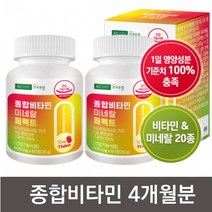 유통기한임박 종합비타민미네랄 퍼펙트4개월분 500mg*60정 2박스, 2개, 60정