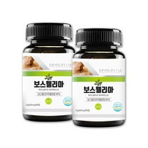 보스웰리아정 추출물 분말 우슬정 뿌리 유향 유항 보수엘리아 보스웰리아환 우슬환 우슬초 쇠물팍 쇠무릎 소무릎 쇠무릅 우술 우수리 비타민 미네랄 보스웰리아차 우슬차 2병
