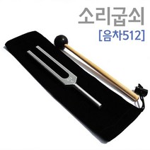 단음차 소리쇠 소리굽쇠 (음차512) 초등교과실험