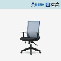 GG 신선초C형 중 파랑 사무용 사무실 메쉬 의자