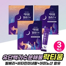 맛있는 락티움 분리유단백 빌베리 아연 비타민 유산균 락티웅 수험생 공시생 선물 유단백가수분해물 마스터 가루 파우치 스틱 타트체리 농축 혼합 분말 포 중년 여성 남성