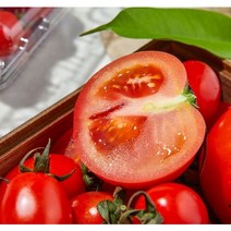 제이블릭 스테비아 방울 토망고 500g 1kg 토마토 대추 단토마토 당0% 간식 스위프리 샤인 단 고당도 산지직송 당도보장 제철과일 임산부과일 논산 부여 백화점과일 선물세트