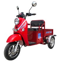 새일 전기 전동차 스쿠터 Sl-효도리 삼륜 오토바이